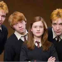 Anh em nhà weasley