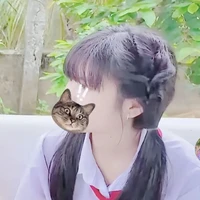 dtrang