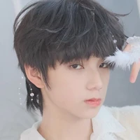 Vương Lỗ Kiệt