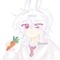 hiha hologram