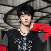 Trương Hàm Thụy_Y