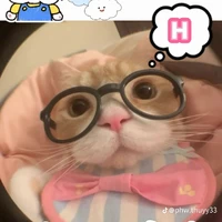 Tác giả Zyna💗