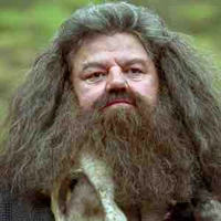 Rubeus Hagrid
