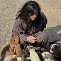 Trần Thảo Linh (han)