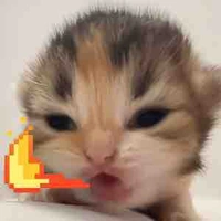 12A1 đụng là var