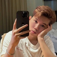 Nguyễn Hữu Đạt / pho nix