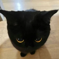 mass character [Trừ những ai cần trừ]