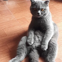 Lại là tg đâyyyy