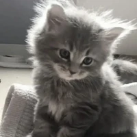 🎀Hệ thống của Hùng🎀