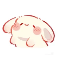 Y/n