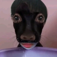 Linglingkwong