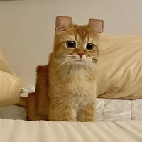 Mittie [ hệ thống giả dạng mèo ]