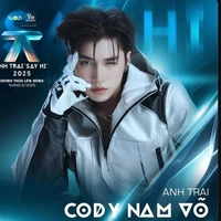võ đinh nam