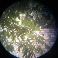 tg sống chill, sống khỏe