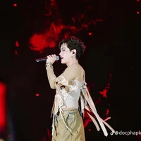 Nguyễn Thành pháp (pháp kiều)