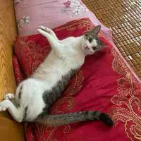 Suỵttttttt