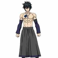 Gray Fullbuster