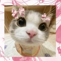 tác giả lười nhất quả đất