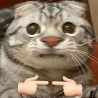 t/g