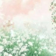 những ng còn lại