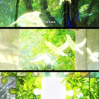 NVP • Nữ •