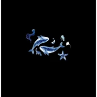 lại là toi.... 🐨 đây