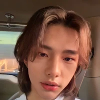 hwang hyunjin