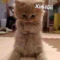 Nhân vật phụ 