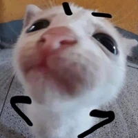 Thần bị bị luyến