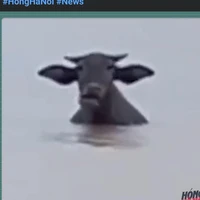all
