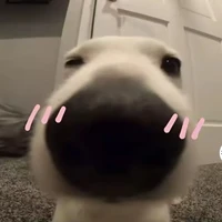 tẹtt nò