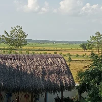 All•Trừ ai thì trừ
