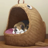 🐈