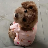 Kem...đâyy òiiiii