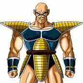 nappa 