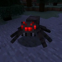 spider