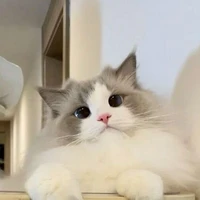 Ten (số hiệu: 1011)