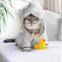 Đội ám sát của ma tộc