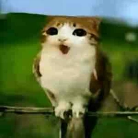  Nhân vật ngẫu nhiên (ng qua đường)