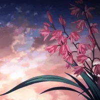 Sự vật diễn ra