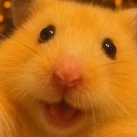 Chủ sốp đây !!!