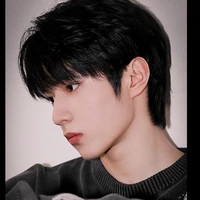 Lưu Điệu Văn