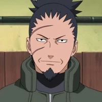 Nara Shikaku