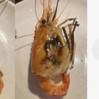 ai cũng được