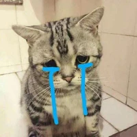 cả lớp 