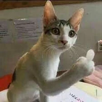 tất cả(trừ ai cũng đc)