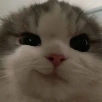 Tác giả cute nhất hành tinh