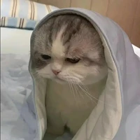 Tổng tài mét rưỡi[tác giả]