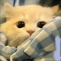 Minz[Tác giả 2]