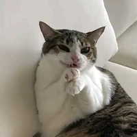 t/g